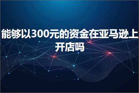 手机网站 推广 跨境电商知识:能够以300元的资金在亚马逊上开店吗